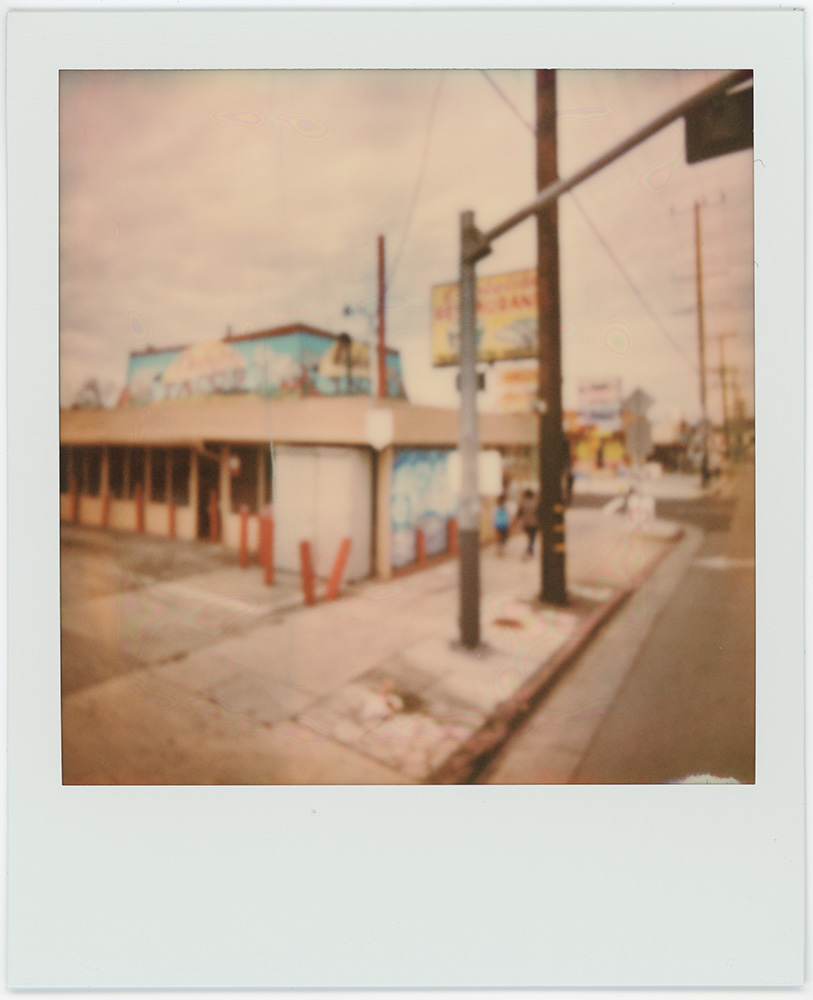 Polaroid 43